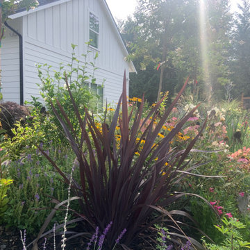 Steamboat Island makeover