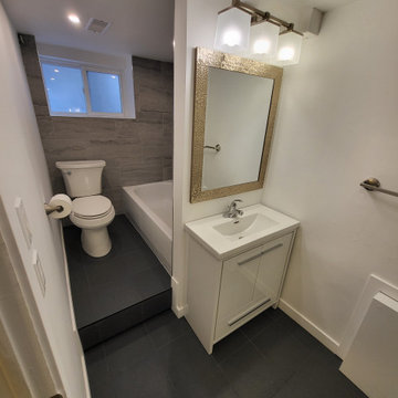 Erskine Basement/Bathroom Reno