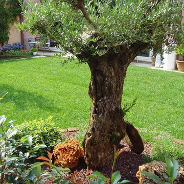 giardini