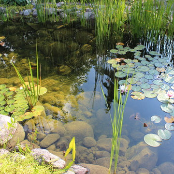 Goldcrest Pond