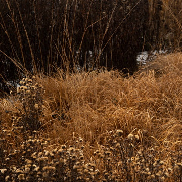 Piet Oudolf Field at Hauser and Wirth, Bruton