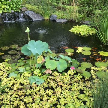 Wheaton Pond