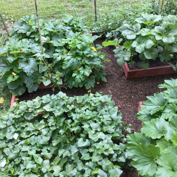 Raised bed vegetable gardens