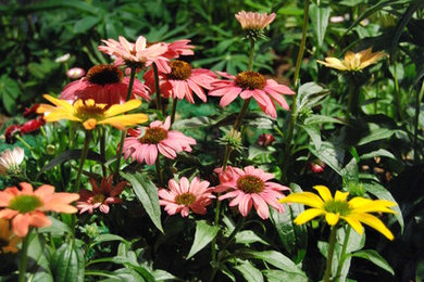 Inspiration for a craftsman backyard pond in Philadelphia with decking.