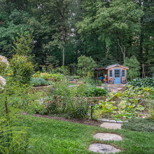 New Veg Garden