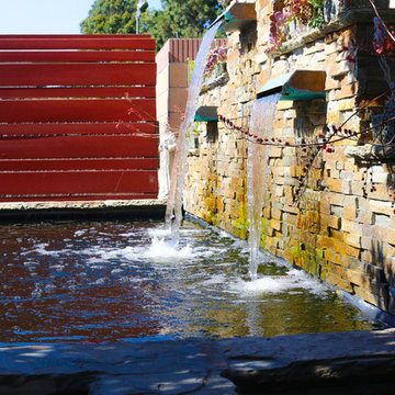 Beach St. Fish Pond