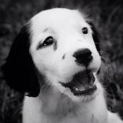 Melinda Black's photo
