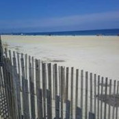 Jaime Troy's photo