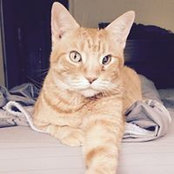 Cher Bear Bahret's photo