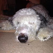 Ja Wright's photo