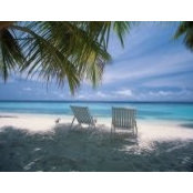 Sandy Salvatore's photo