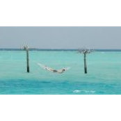 Roy Skaggs's photo