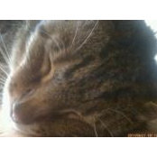 Foto von Tabitha Fletcher