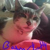 Michele Pasanski's photo