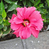 Wendy Snyder's photo