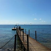 Foto von Sandra La Leggia