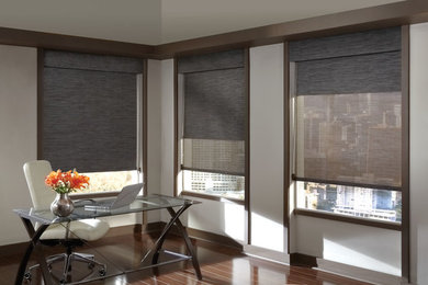 Dual Roller Shades