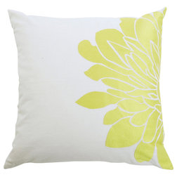 Contemporary Decorative Pillows by Blissliving