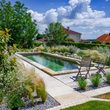 Naturpool in Hanglage mit Terrassierung – Eisenstadt