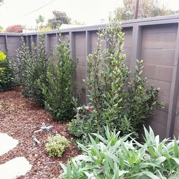 Santa Monica Fence Project
