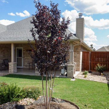 Flowering Trees & Shrubs