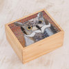 Novica Handmade Charming Owl Glass Mosaic Tea Box