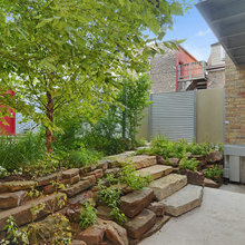 Bucktown Tree House - Chicago