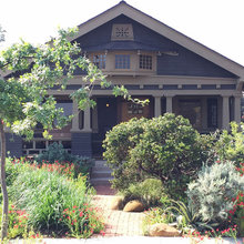 Water-wise Gardening