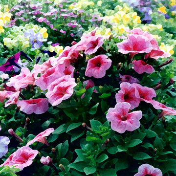 Miscellaneous Gardens and Pretty Things