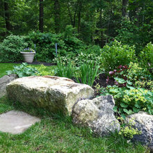 Dream Backyard