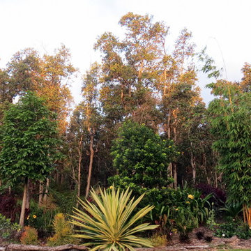 Hawaii Paradise Found Gardens