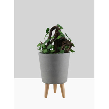 Serene Spaces Living Ceramic Planter With Wood Legs, Gray Planter