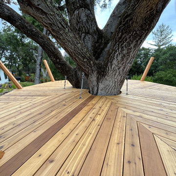 Euphoric Treehouse