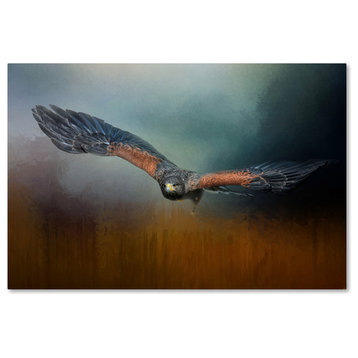 Jai Johnson 'Flight Of The Harris Hawk' Canvas Art, 47 x 30
