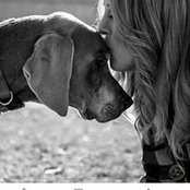 Leigh-Ann Furman-Zerden's photo