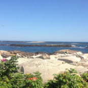 Greg Doherty's photo