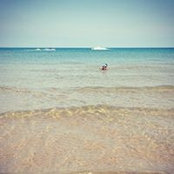 Allie Roberts's photo