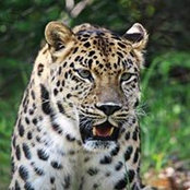 Tammy Scadden's photo