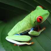 Joy Eck's photo