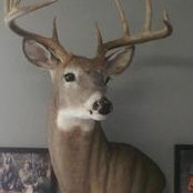 Harold Weimer's photo