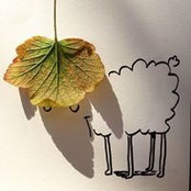 Aziza Aks's photo