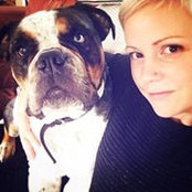 Kate Carnegie's photo