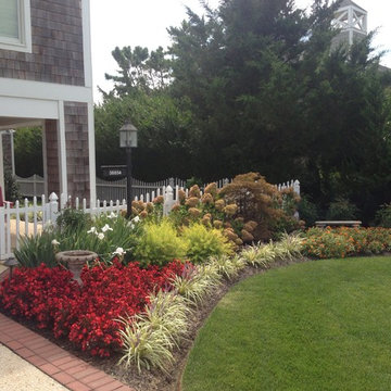 Our Work