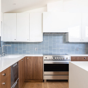 Walnut Slab and White High-Gloss Acrylic Slab | Los Angeles, CA