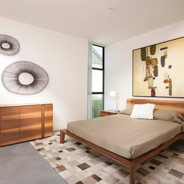 Sofia Lofts