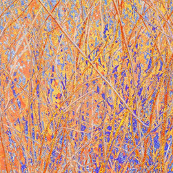 Orange, Blue Nature - Prints And Posters