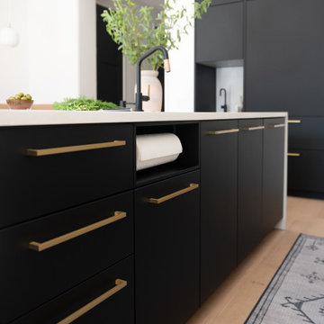 Ultra Sleek Kitchen on the Hill