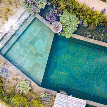 Swimming Pond