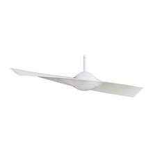 ceiling fans