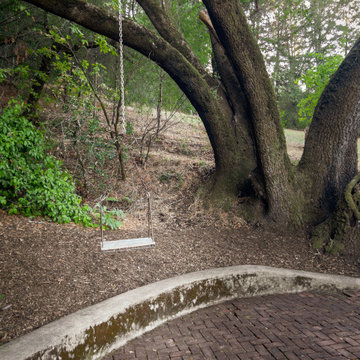 Healdsburg Landscape
